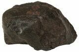 Chondrite Meteorite ( g) - Western Sahara Desert #222370-1